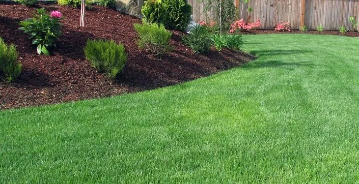 Affordable yard cleanup service experts serving Baton Rouge, LA - DJ’s Greenhouse