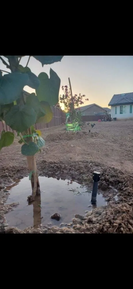 Local residential landscaping for year-round maintenance across Yuma, AZ - DJs Handyman Services & Landscaping