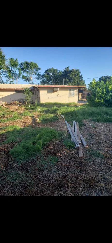 Local yard maintenance for year-round maintenance in Yuma, AZ by DJs Handyman Services & Landscaping