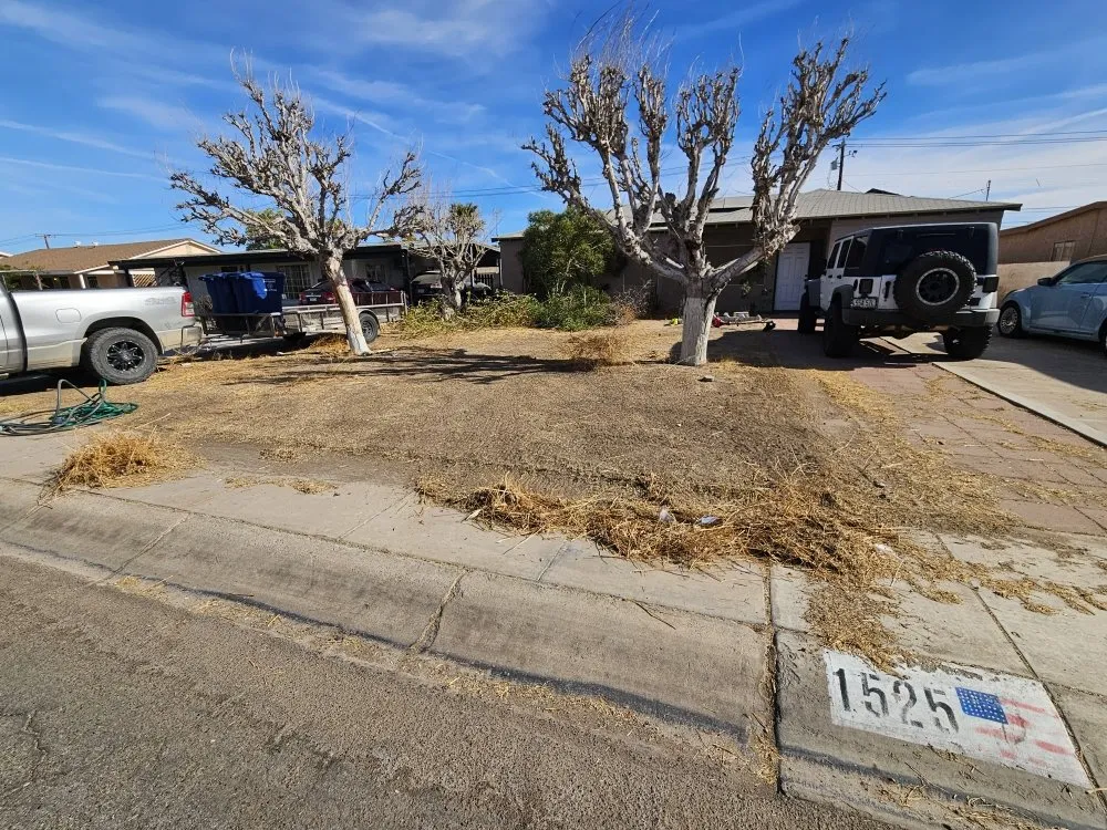 Reliable garden landscaping experts serving Yuma, AZ - DJs Handyman Services & Landscaping