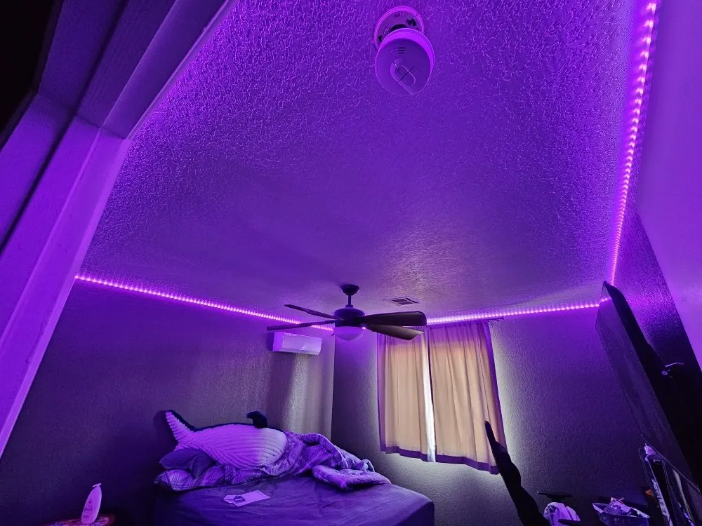 Affordable landscaping services for year-round maintenance in Yuma, AZ by DJs Handyman Services & Landscaping