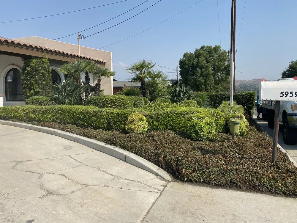 Professional landscape design in Hemet, CA by DJ’S Hauling Services & Landscaping