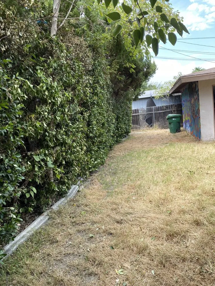 Reliable yard maintenance for beautiful yards in Hemet, CA by DJ’S Hauling Services & Landscaping