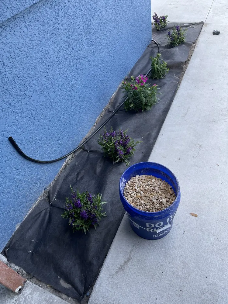 Local lawn care service experts serving Plant City, FL - Dj’s Irrigation