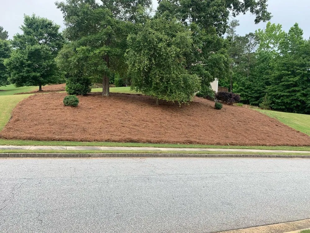 Expert yard cleanup service experts serving Sharpsburg, GA - Dj’s Landscaping & Installations