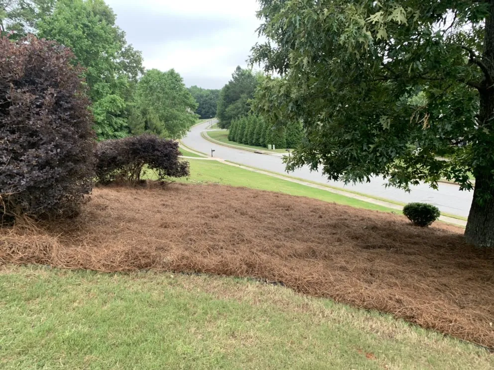 Custom lawn care service in Sharpsburg, GA - Dj’s Landscaping & Installations