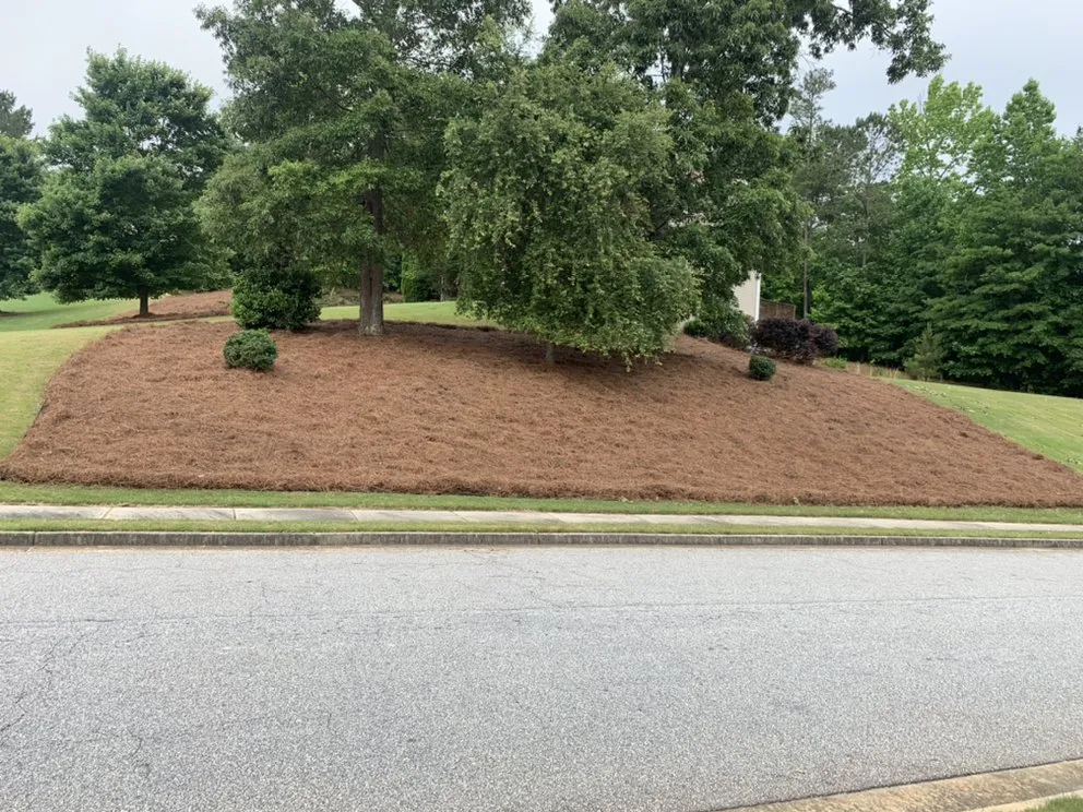 Expert lawn care service for beautiful yards in Sharpsburg, GA by Dj’s Landscaping & Installations
