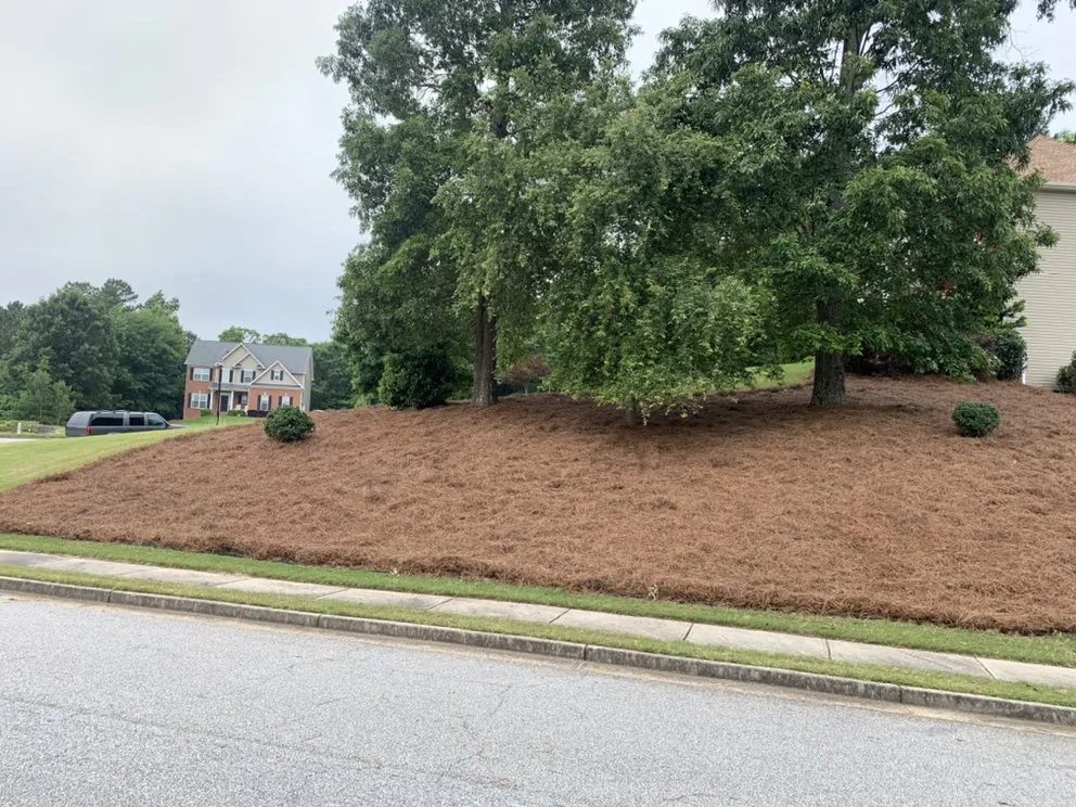 Trusted garden landscaping in Sharpsburg, GA by Dj’s Landscaping & Installations