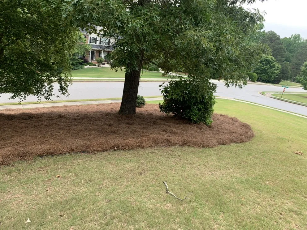 Local landscape design in Sharpsburg, GA by Dj’s Landscaping & Installations