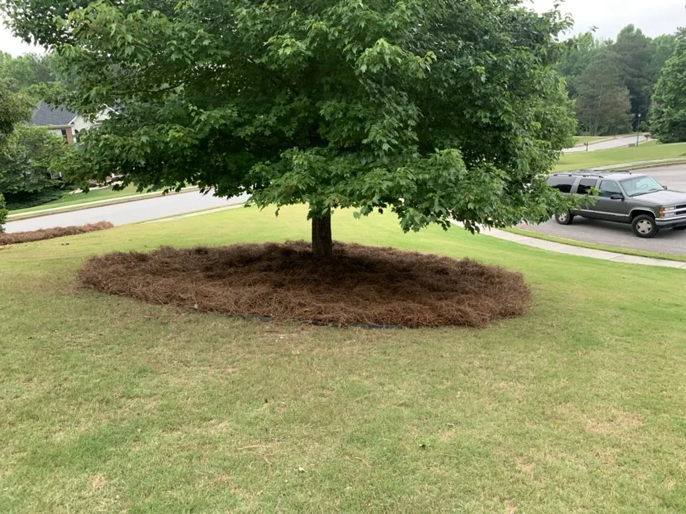 Expert landscape design in Sharpsburg, GA - Dj’s Landscaping & Installations