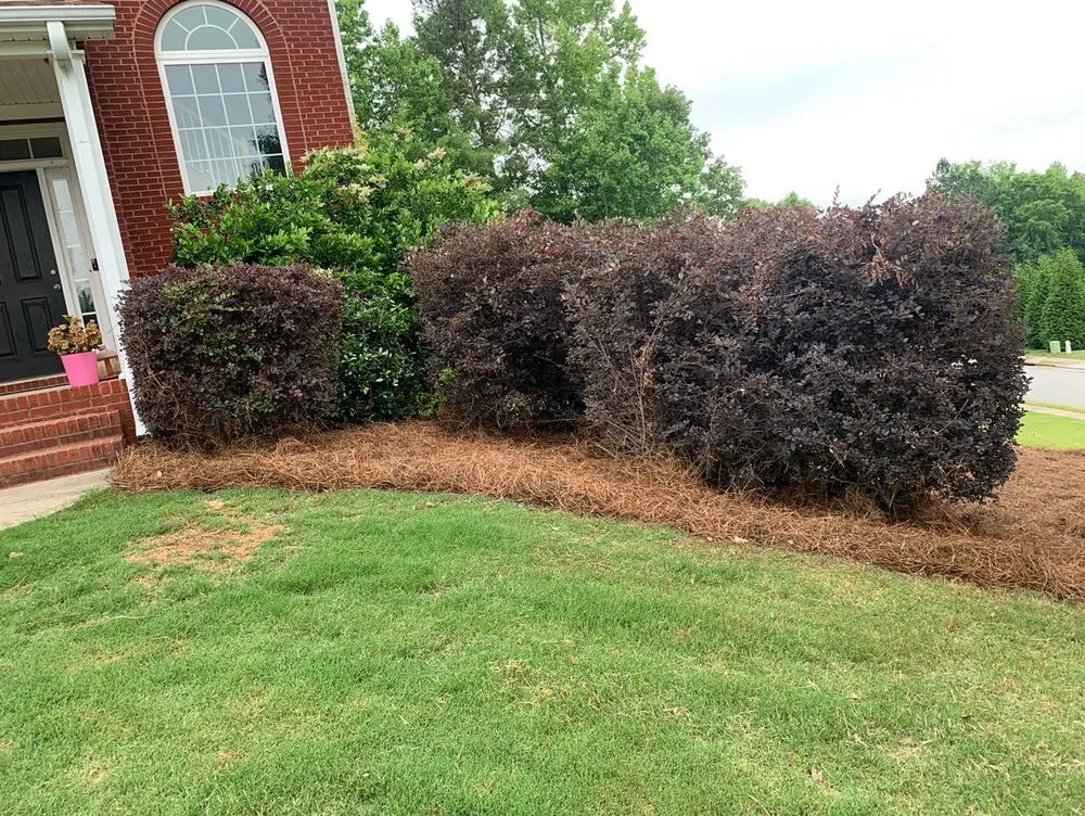 Expert outdoor landscaping in Sharpsburg, GA - Dj’s Landscaping & Installations