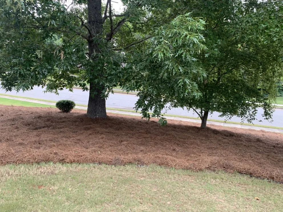 Affordable lawn mowing service for beautiful yards in Sharpsburg, GA by Dj’s Landscaping & Installations