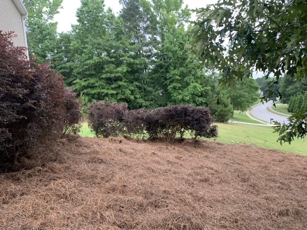 Reliable residential landscaping for homes in Sharpsburg, GA by Dj’s Landscaping & Installations