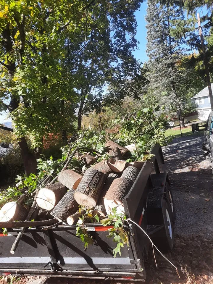 Top-rated garden landscaping for beautiful yards across New Paltz, NY - Djs landscaping & More