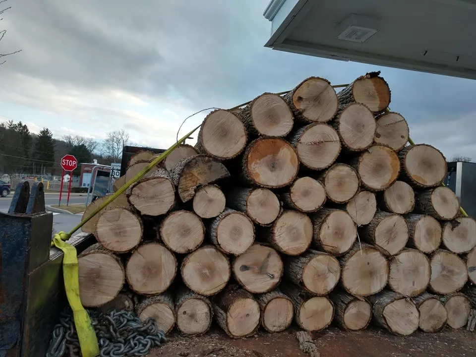 Affordable garden landscaping for beautiful yards in New Paltz, NY by Djs landscaping & More