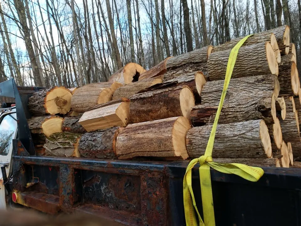 Trusted lawn mowing service in New Paltz, NY by Djs landscaping & More