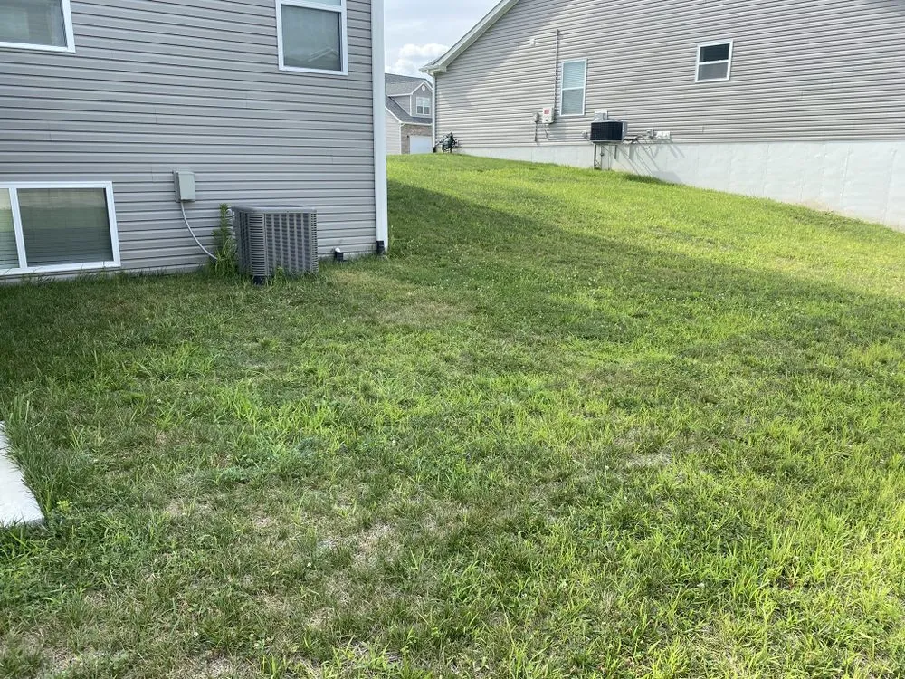 Affordable yard maintenance for year-round maintenance across Florissant, MO - Dj's Landscaping Company