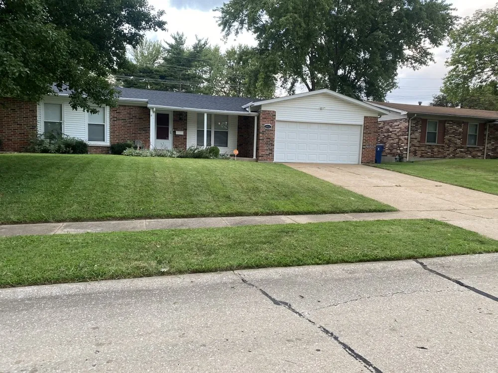 Custom yard cleanup service in Florissant, MO - Dj's Landscaping Company