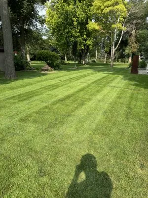 DJ’s Lawn and Landscape