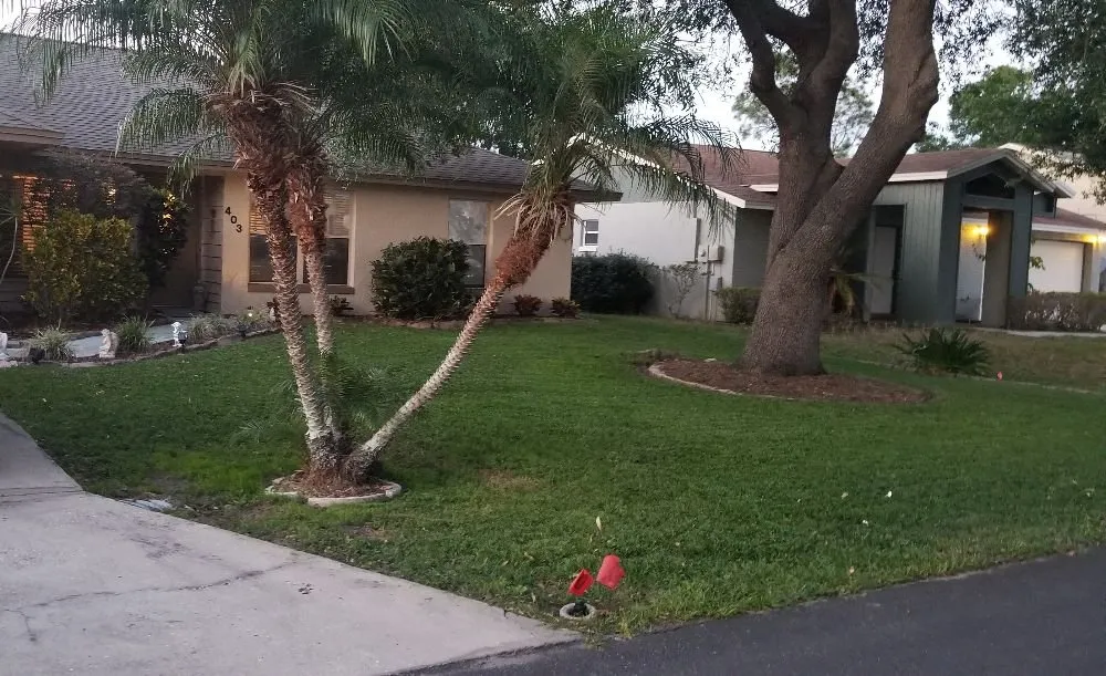 Trusted yard cleanup service in Winter Haven, FL by DJ's Lawn and Landscaping Services