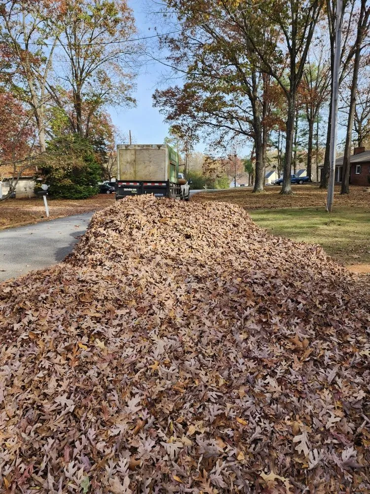 Reliable outdoor landscaping in Statesville, NC - DJ's Lawn Care & Landscaping