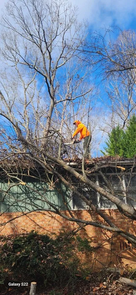 Professional garden landscaping in Statesville, NC by DJ's Lawn Care & Landscaping