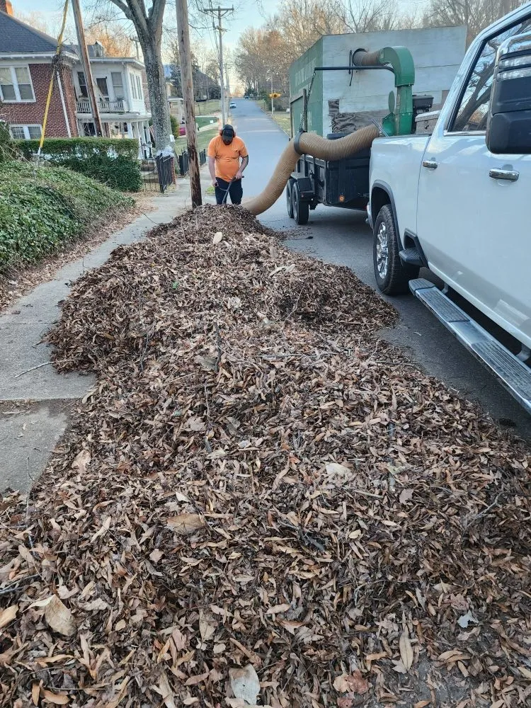 Local lawn mowing service experts serving Statesville, NC - DJ's Lawn Care & Landscaping