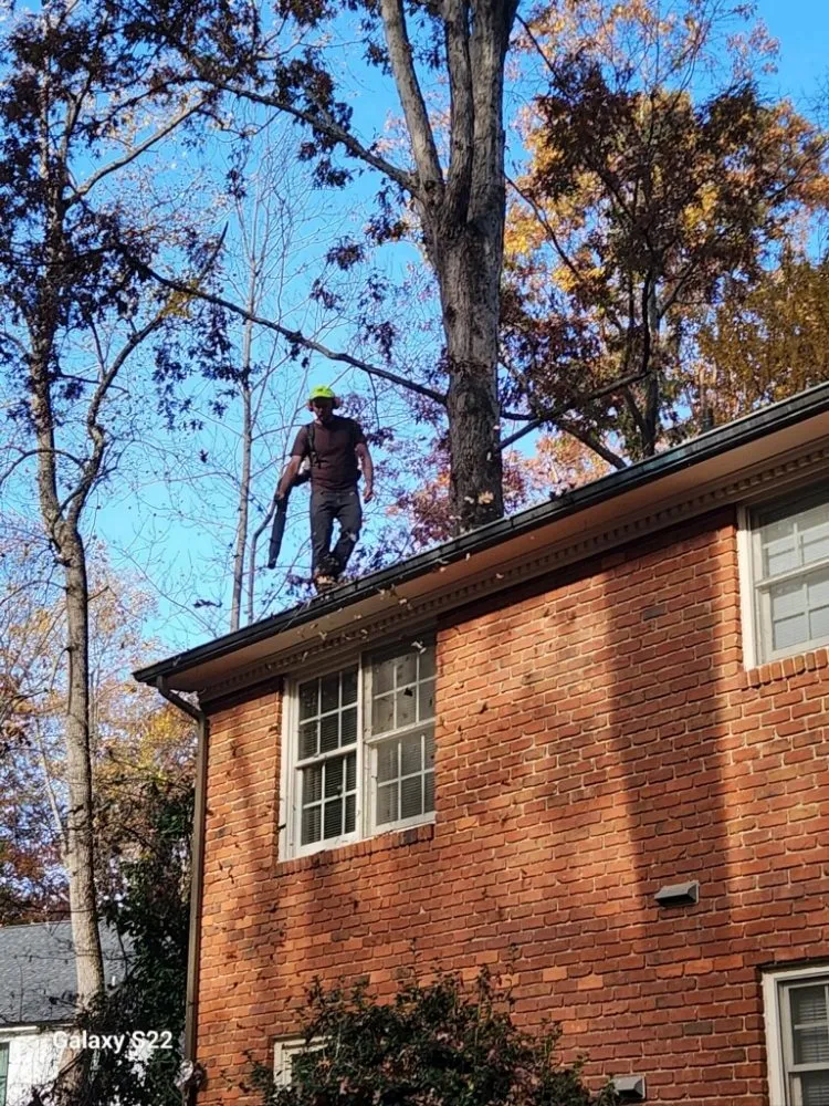 Professional outdoor landscaping in Statesville, NC by DJ's Lawn Care & Landscaping