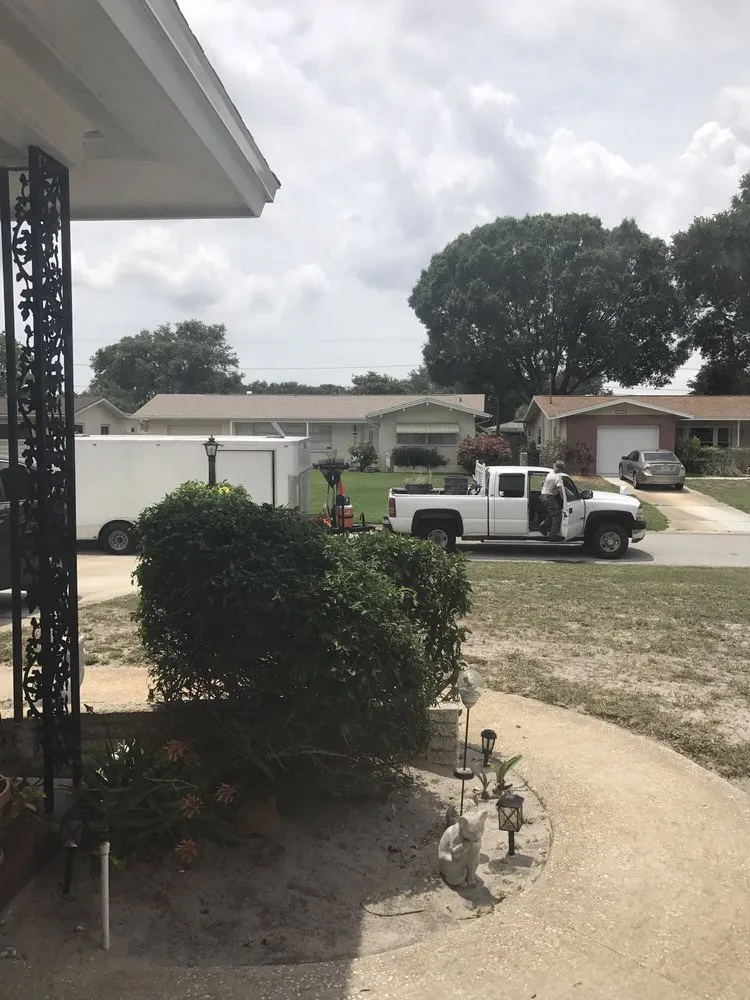 Affordable outdoor landscaping for beautiful yards across Clearwater, FL - Dj's Lawn Care