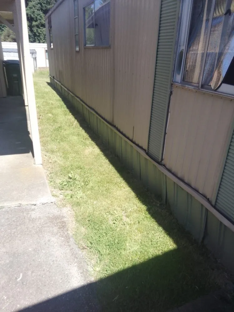 Custom yard cleanup service in Tacoma, WA by DJ'S Lawn Care