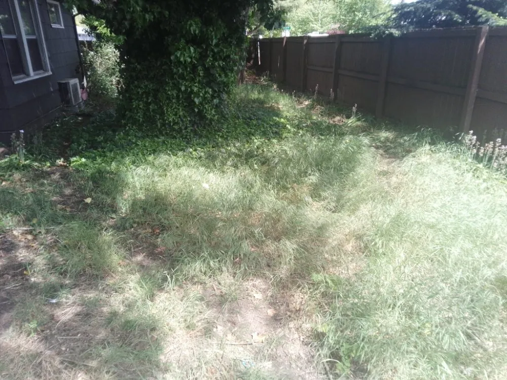 Professional landscape design for homes across Tacoma, WA - DJ'S Lawn Care