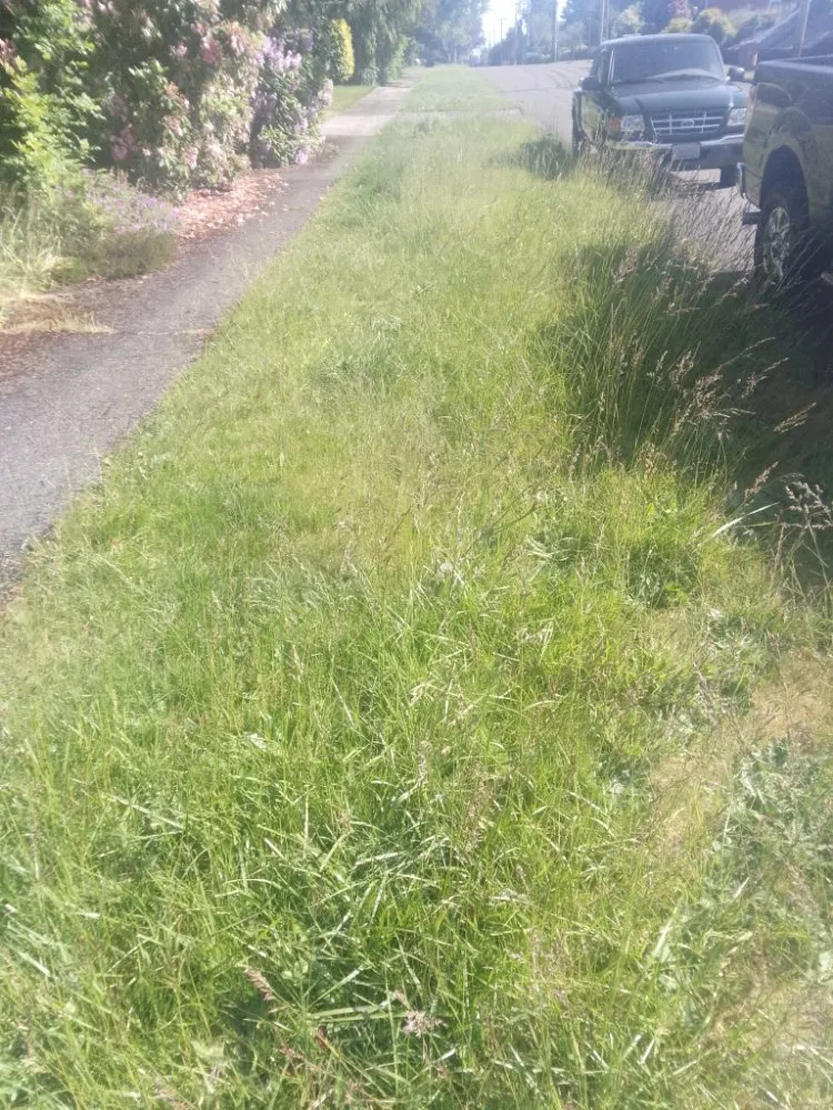 Professional yard maintenance in Tacoma, WA - DJ'S Lawn Care