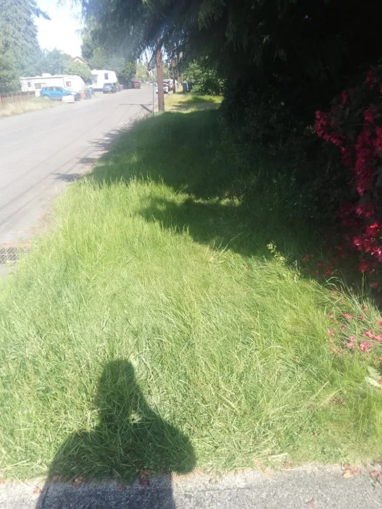 Reliable landscape design experts serving Tacoma, WA - DJ'S Lawn Care