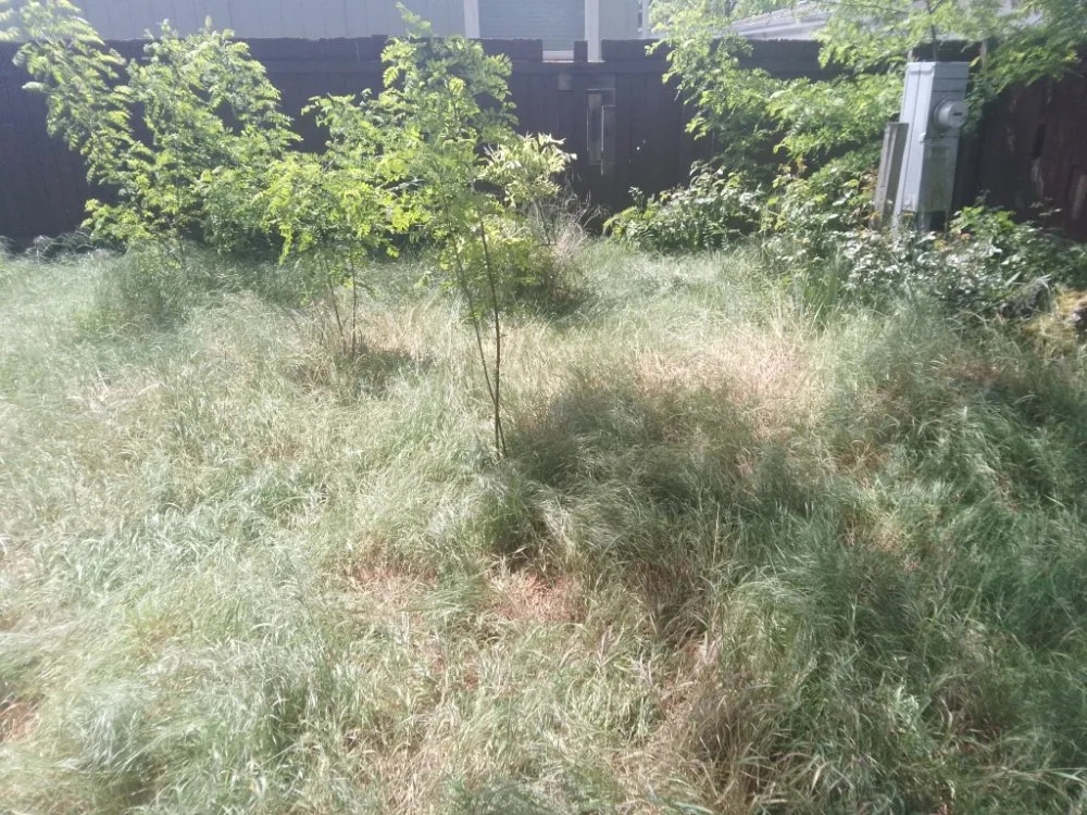 Custom landscape design for residential properties across Tacoma, WA - DJ'S Lawn Care