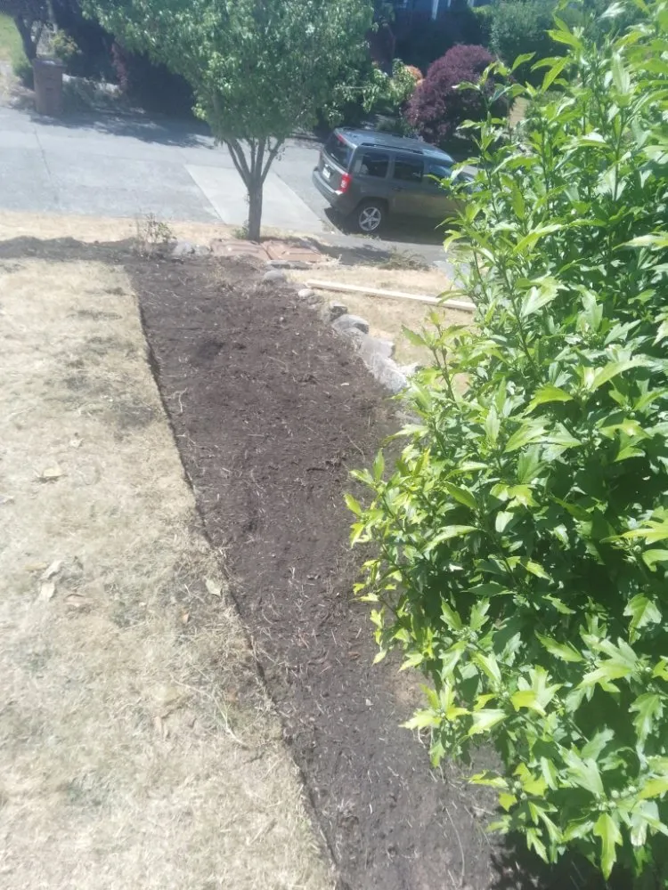 Local lawn mowing service in Tacoma, WA by DJ'S Lawn Care