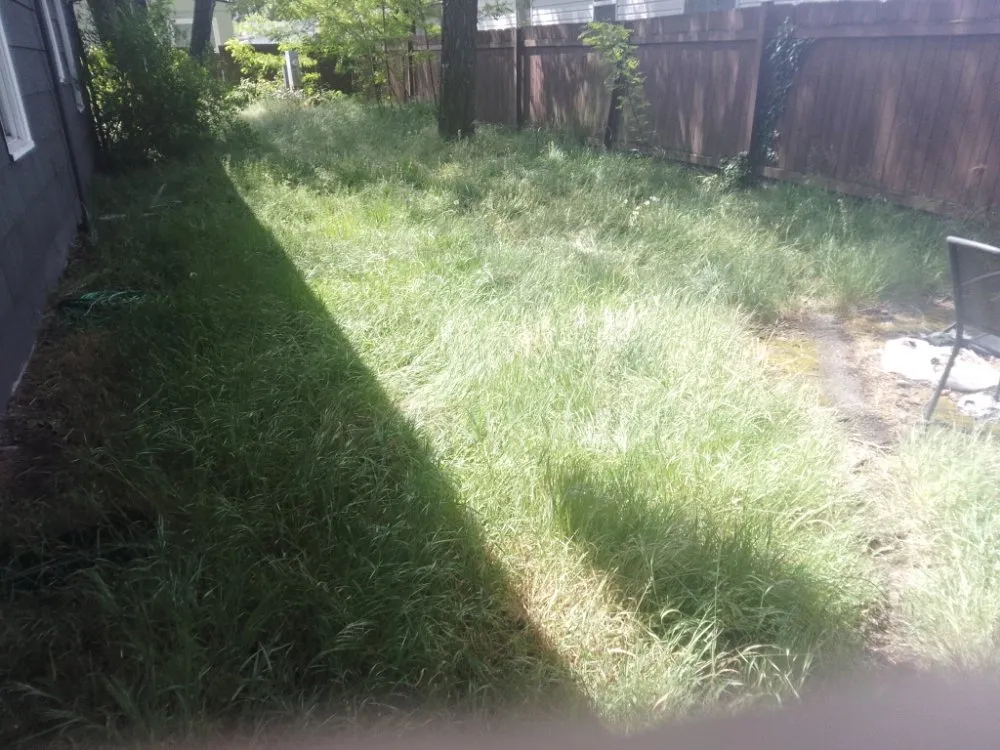 Local landscaping services in Tacoma, WA by DJ'S Lawn Care