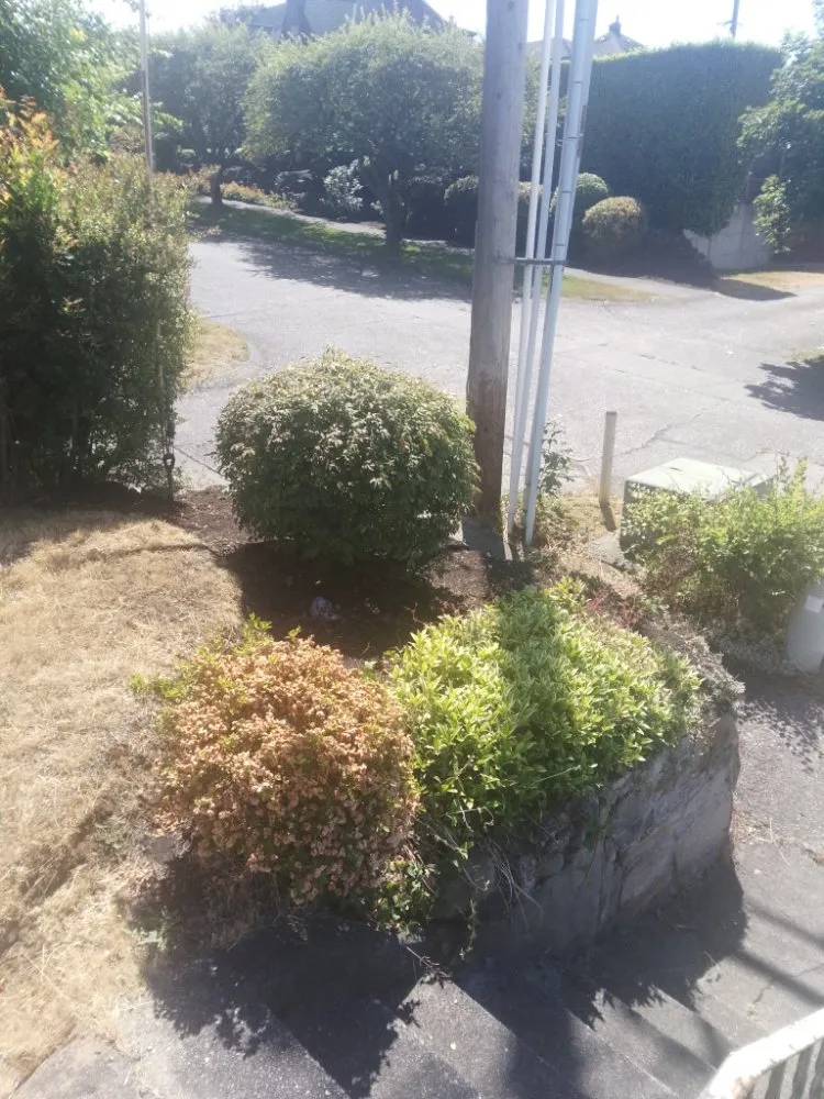 Trusted landscaping services experts serving Tacoma, WA - DJ'S Lawn Care