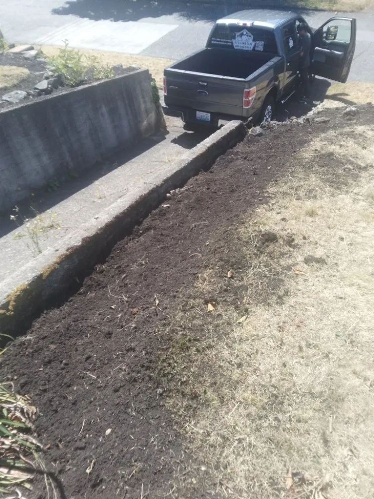 Expert yard cleanup service in Tacoma, WA by DJ'S Lawn Care