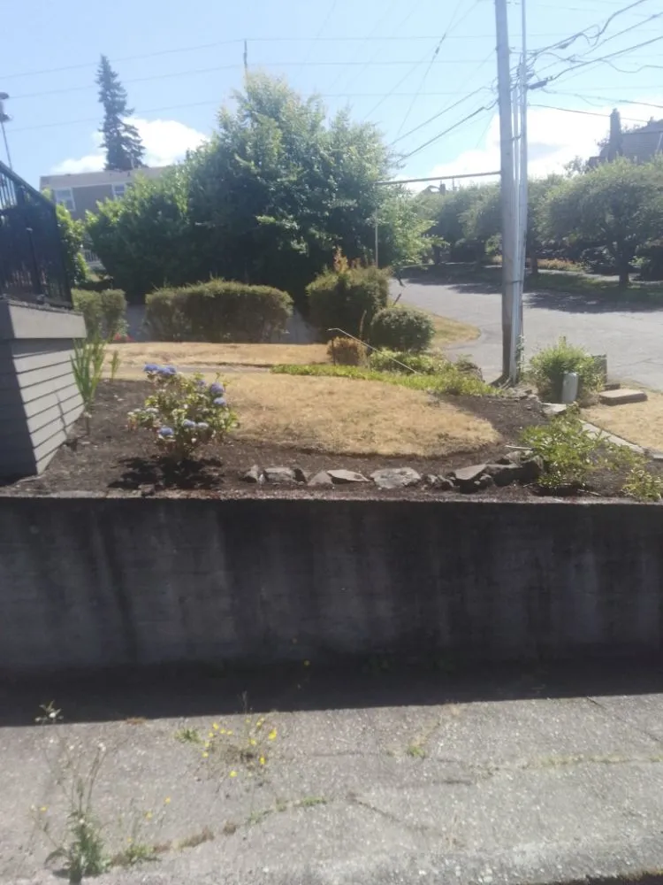 Top-rated landscape installation in Tacoma, WA - DJ'S Lawn Care