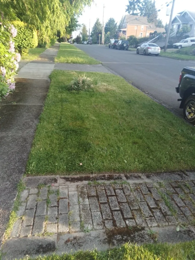 Affordable landscape design in Tacoma, WA - DJ'S Lawn Care