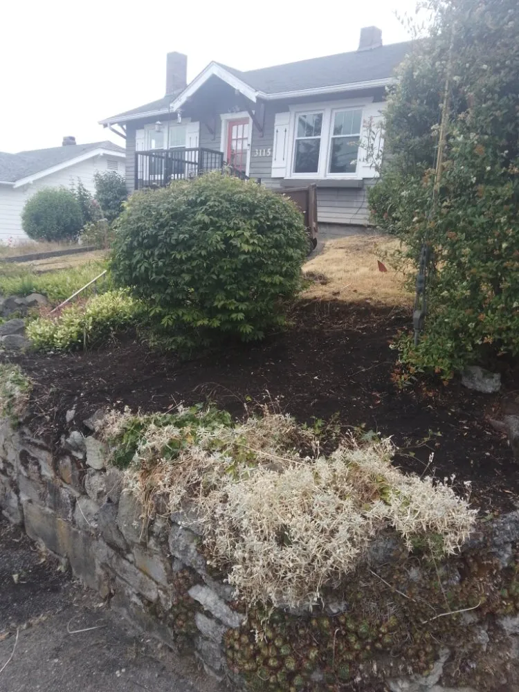 Expert yard cleanup service for homes in Tacoma, WA by DJ'S Lawn Care