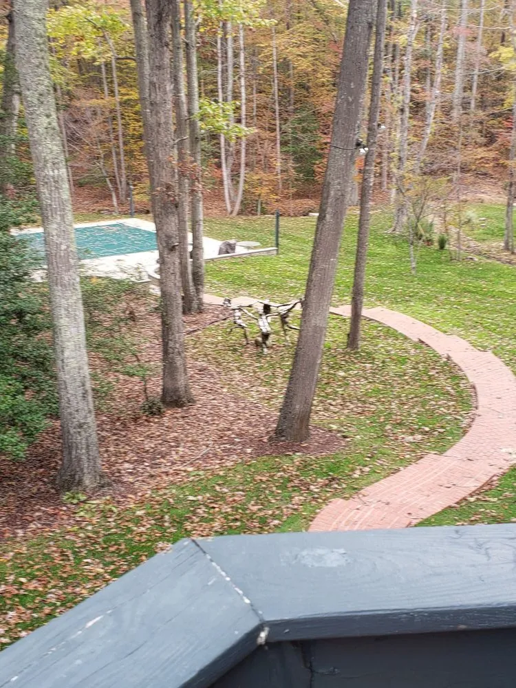 Custom landscaping services in Stafford, VA - DJ's Lawn Sprinklers