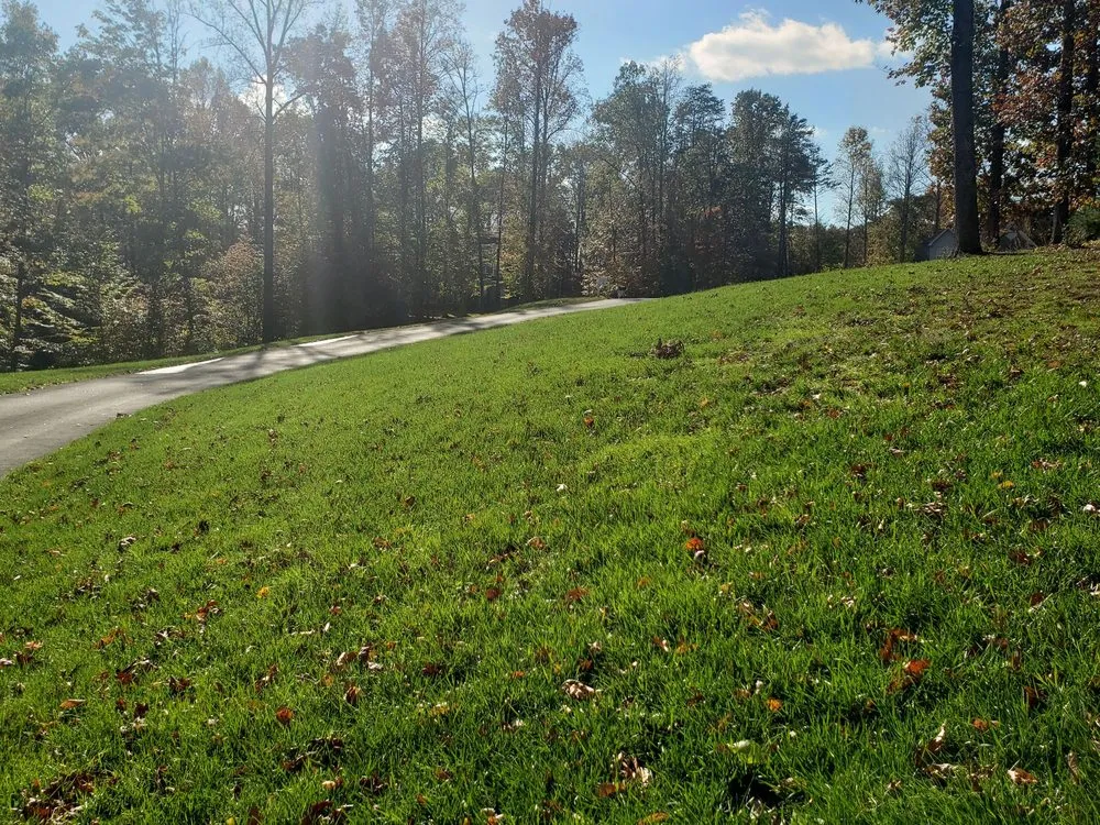 Professional yard cleanup service with custom design across Stafford, VA - DJ's Lawn Sprinklers