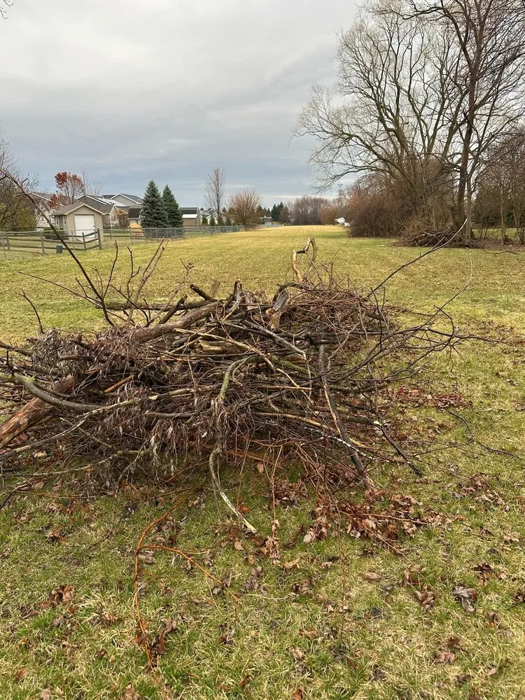 Custom outdoor landscaping in Oregon, OH by Djs Lawncare