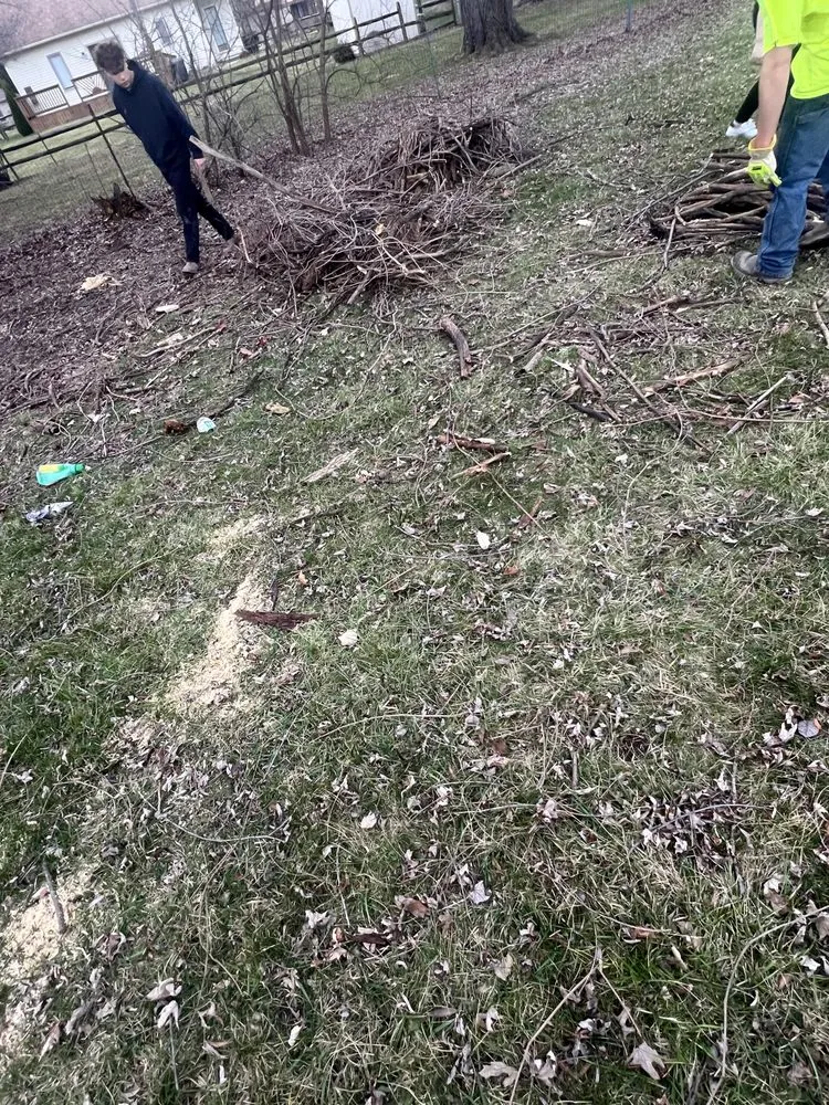 Custom yard cleanup service in Oregon, OH - Djs Lawncare