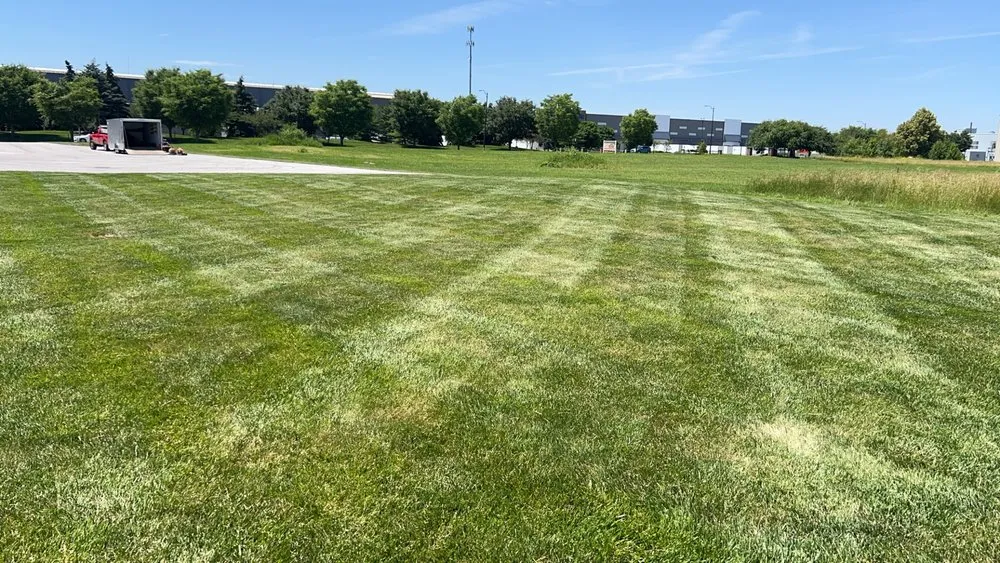 Affordable yard maintenance in Oregon, OH by Djs Lawncare