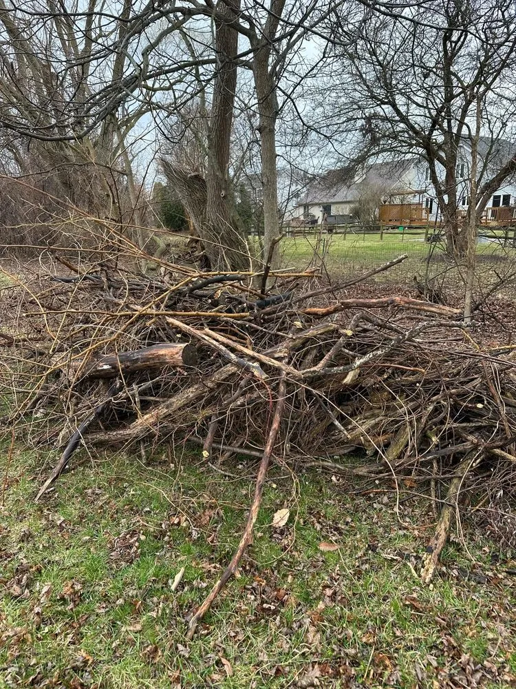 Reliable yard cleanup service in Oregon, OH by Djs Lawncare