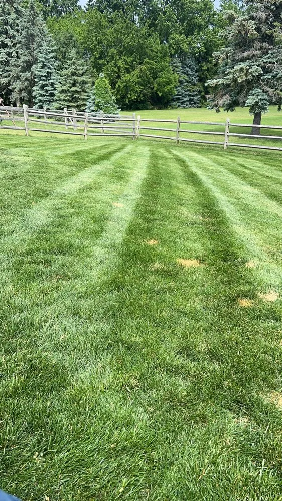 Top-rated yard maintenance for beautiful yards across Oregon, OH - Djs Lawncare