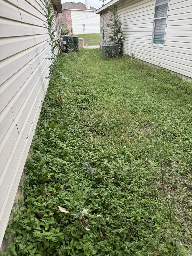 Local yard cleanup service for beautiful yards across Justin, TX - DJs Mow and Grow