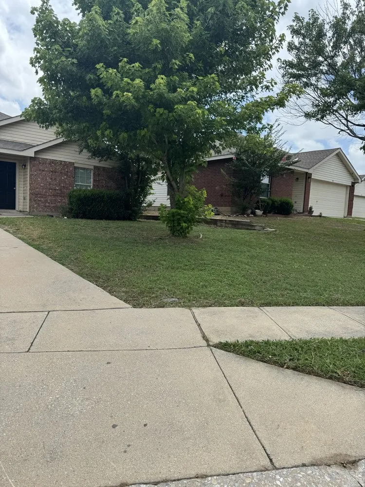 Expert landscape design in Justin, TX - DJs Mow and Grow